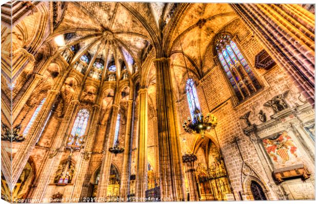 Barcelona Cathedral Canvas Print by David Pyatt