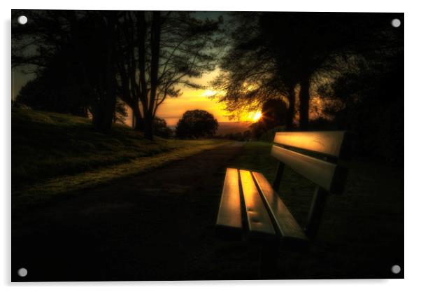 Sunset at Ravenhill Park Acrylic by Leighton Collins