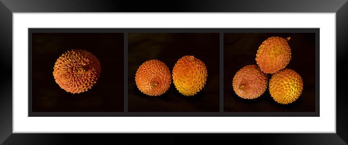 Lychee Triptych Framed Mounted Print by Pete Hemington