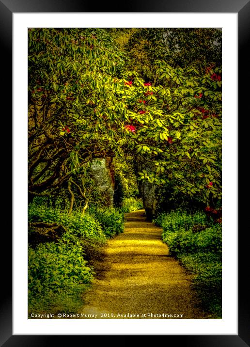 Sun-dappled Rhododendron Path Framed Mounted Print by Robert Murray