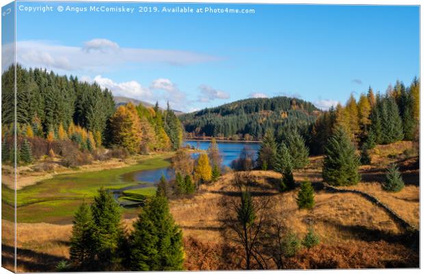Achray Forest Drive Trossachs Canvas Print by Angus McComiskey