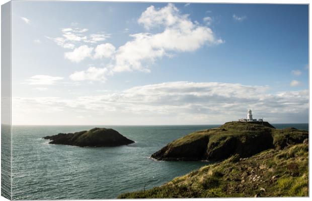 The lighthouse at Strumble Head Canvas Print by David Wall