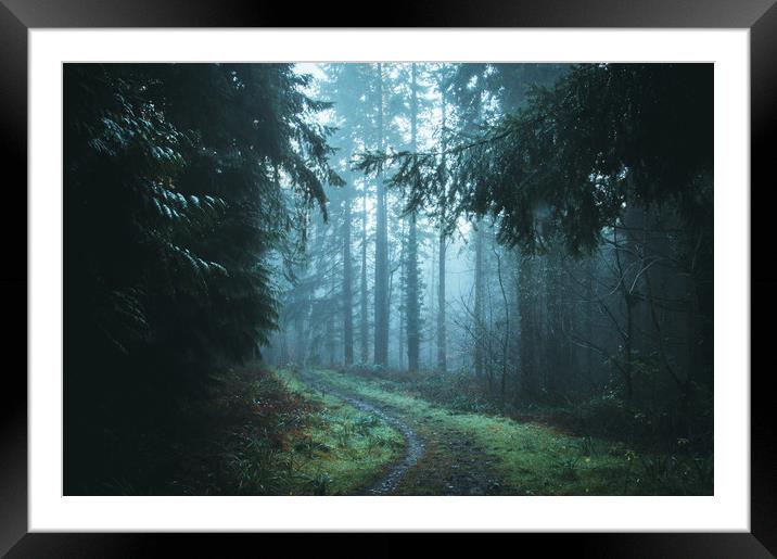 A path through a beautiful misty forest Framed Mounted Print by David Wall