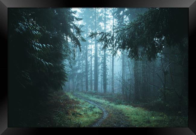 A path through a beautiful misty forest Framed Print by David Wall