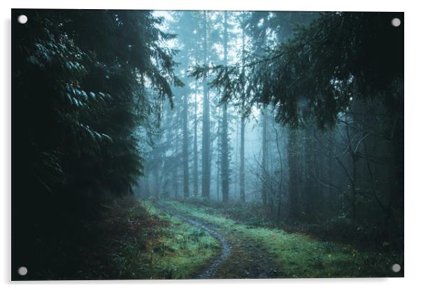 A path through a beautiful misty forest Acrylic by David Wall