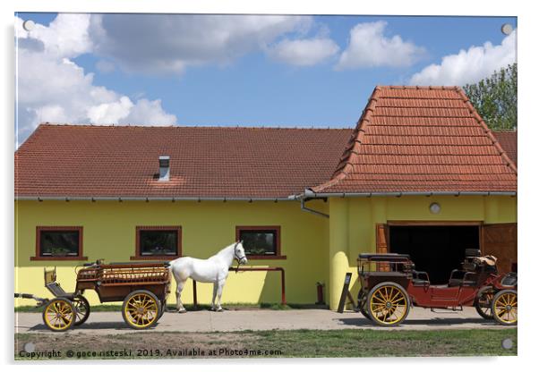 white horse and old carriage on ranch Acrylic by goce risteski