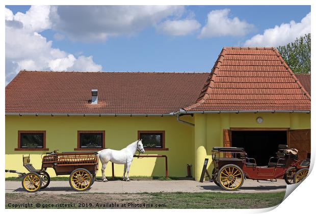 white horse and old carriage on ranch Print by goce risteski
