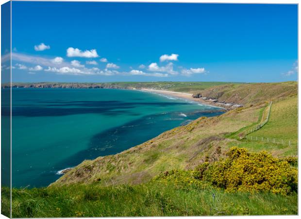 Newgale In the Spring. Canvas Print by Colin Allen