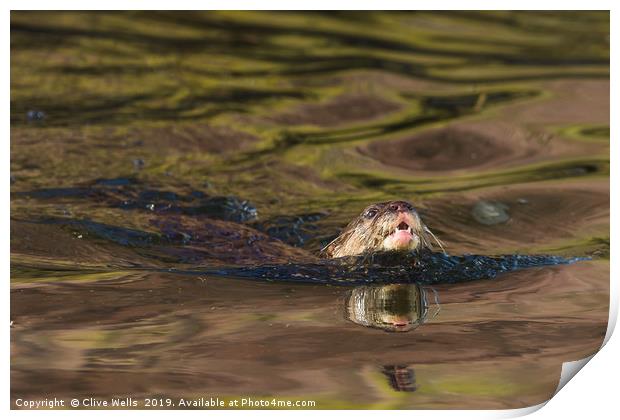 Asian Short Clawed Otter Print by Clive Wells