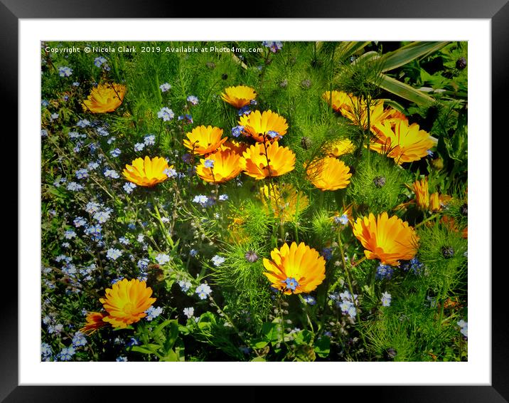 The Flower Bed Framed Mounted Print by Nicola Clark