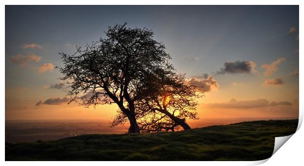 As the sun sets behind Hawthorn trees  Print by Jon Fixter
