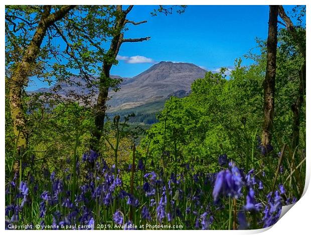 Ben Lomond through the bluebells on Inchcailloch Print by yvonne & paul carroll