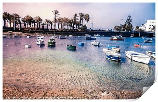 Moored boats Print by Mandy Rice