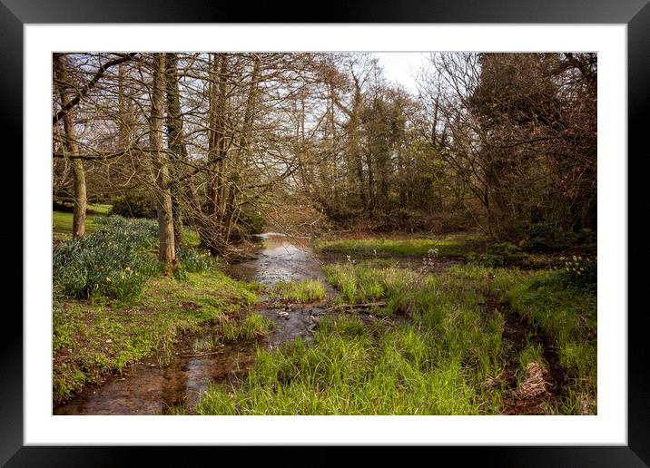 Forest River Framed Mounted Print by Svetlana Sewell