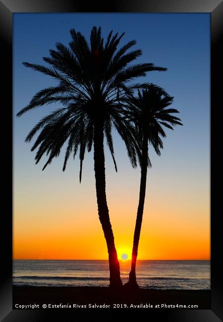 Palm sunrise Framed Print by Estefanía Rivas Salvador