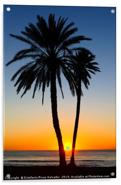 Palm sunrise Acrylic by Estefanía Rivas Salvador
