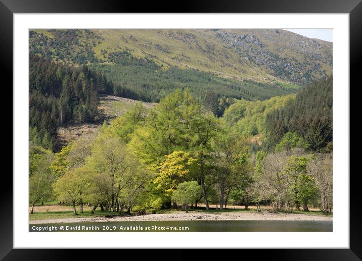 shoreline at Loch Lubhair, near Crianlarich, the H Framed Mounted Print by Photogold Prints