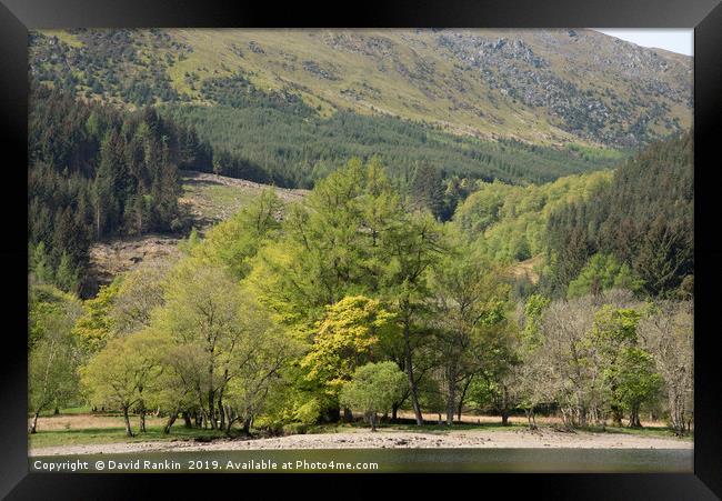 shoreline at Loch Lubhair, near Crianlarich, the H Framed Print by Photogold Prints