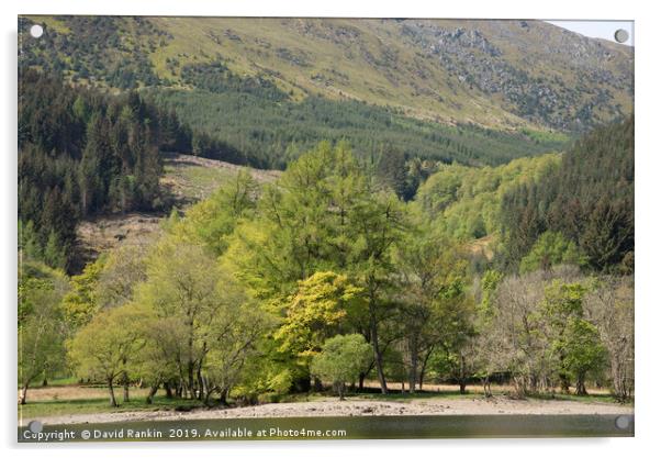 shoreline at Loch Lubhair, near Crianlarich, the H Acrylic by Photogold Prints