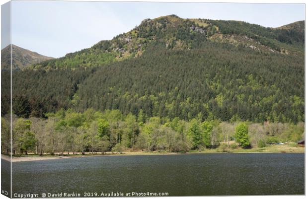  Loch Lubhair, near Crianlarich, the Highlands, Sc Canvas Print by Photogold Prints