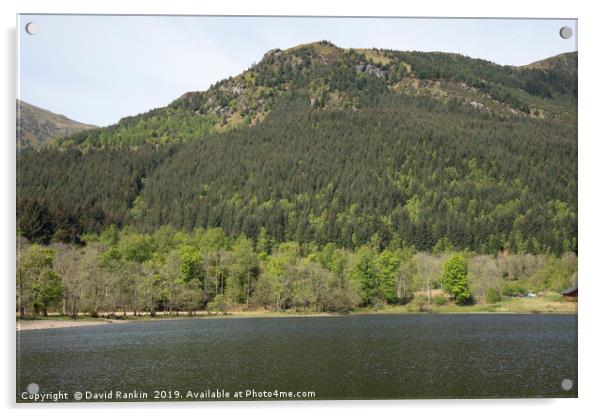  Loch Lubhair, near Crianlarich, the Highlands, Sc Acrylic by Photogold Prints