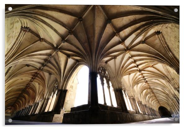 Norwich Cloisters  Acrylic by Jordan Browning Photo