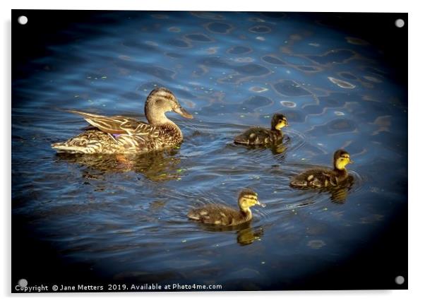 Proud Mum  Acrylic by Jane Metters