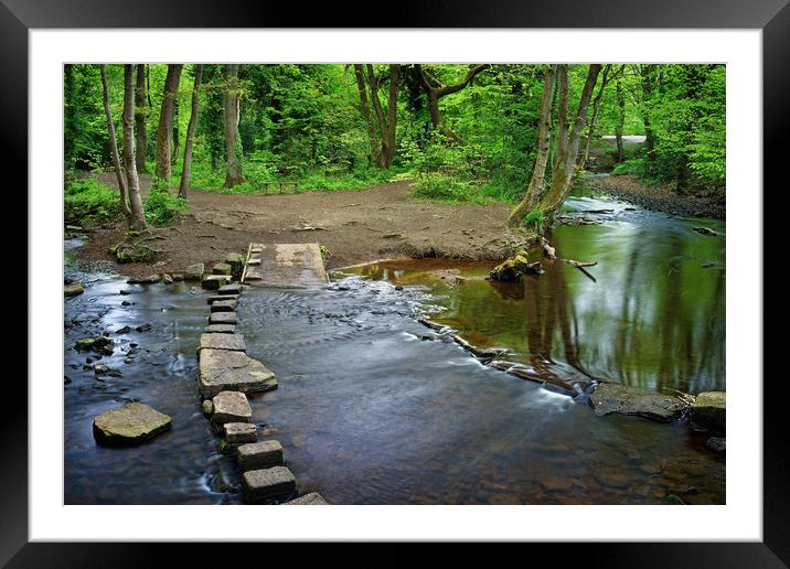 Rivelin Stepping Stones                            Framed Mounted Print by Darren Galpin