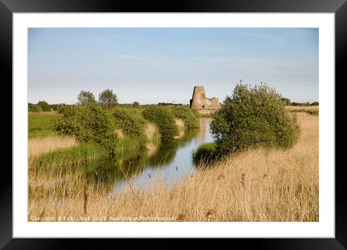 St Benet's Reflections, Norfolk Framed Mounted Print by Sally Lloyd