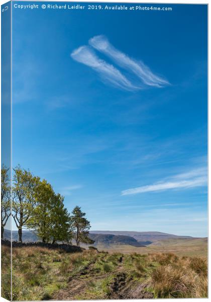 Giant Jellyfish flying over the Pennines Canvas Print by Richard Laidler