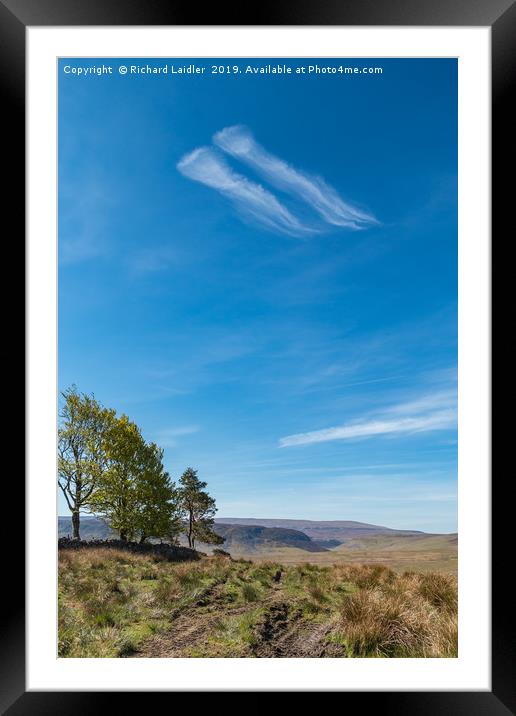 Giant Jellyfish flying over the Pennines Framed Mounted Print by Richard Laidler