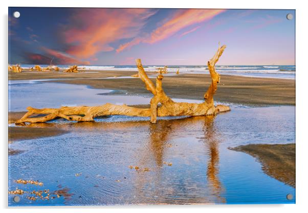 Driftwood on Beach in Late Day Sun Acrylic by Darryl Brooks