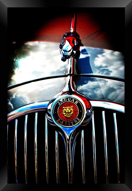 Jaguar Classic Car Leaper Bonnet Hood Ornament Framed Print by Andy Evans Photos