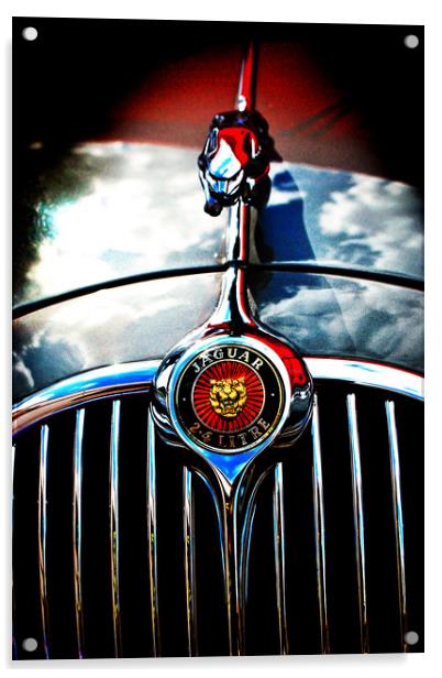 Jaguar Classic Car Leaper Bonnet Hood Ornament Acrylic by Andy Evans Photos
