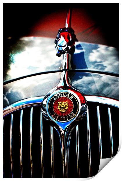 Jaguar Classic Car Leaper Bonnet Hood Ornament Print by Andy Evans Photos