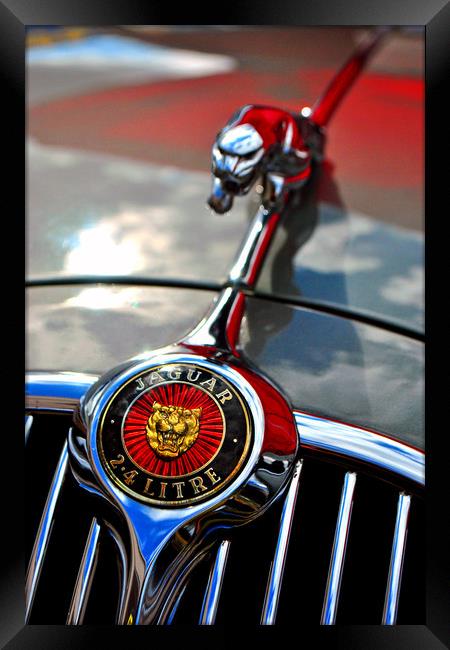 Jaguar Classic Car Leaper Bonnet Hood Ornament Framed Print by Andy Evans Photos