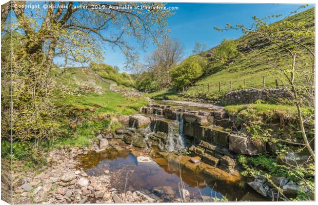 Spring on Ettersgill Beck, Teesdale Canvas Print by Richard Laidler