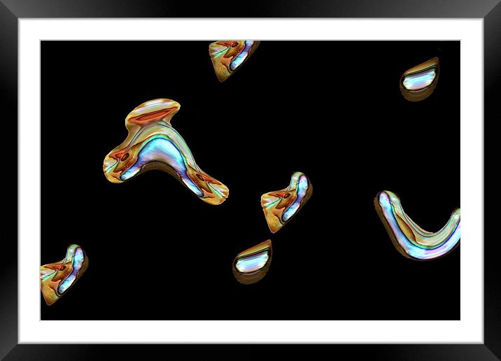 Abalone Blobs...26th Feb 2011 Framed Mounted Print by Donna Collett