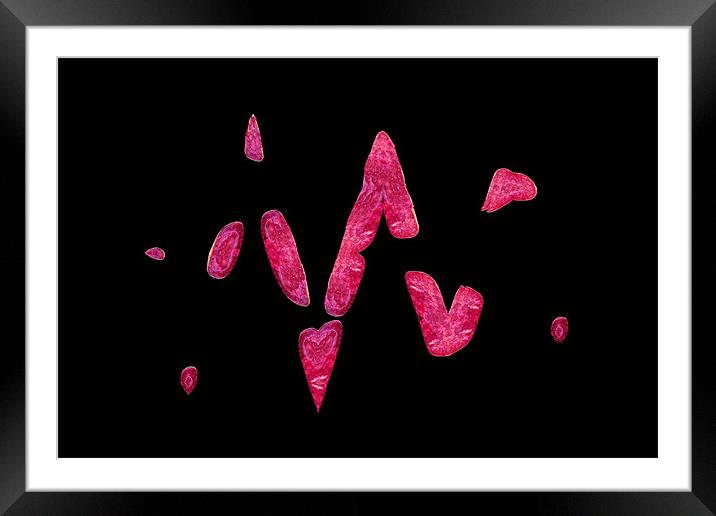 Pink Blobs Framed Mounted Print by Donna Collett