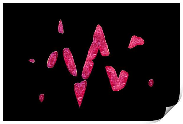 Pink Blobs Print by Donna Collett