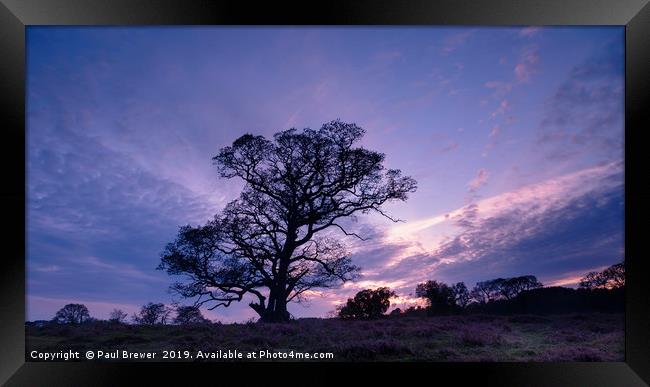 Purple Skies Framed Print by Paul Brewer