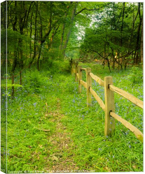 Fence Line Canvas Print by Paul Brewer