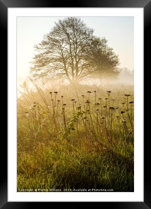 Misty Sunrise Framed Mounted Print by Martyn Williams