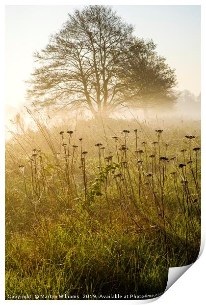 Misty Sunrise Print by Martyn Williams