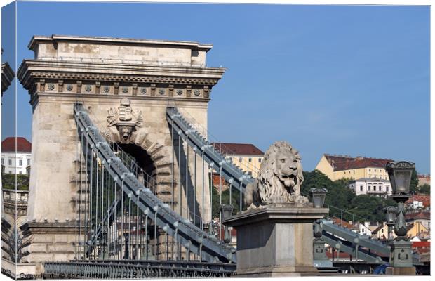 lion statue chain bridge Budapest Canvas Print by goce risteski