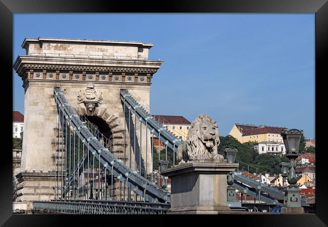 lion statue chain bridge Budapest Framed Print by goce risteski