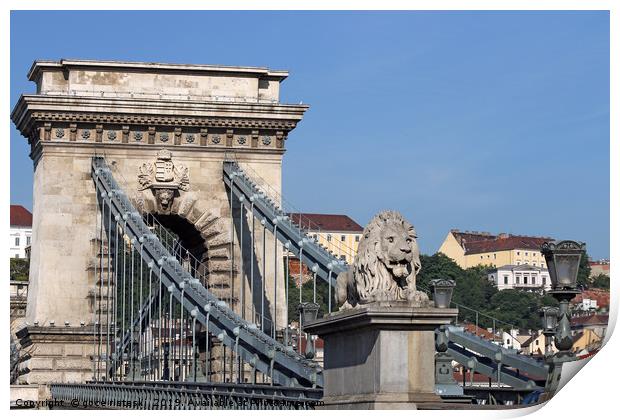 lion statue chain bridge Budapest Print by goce risteski