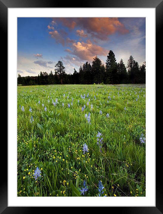 Camas Sunset Framed Mounted Print by Mike Dawson