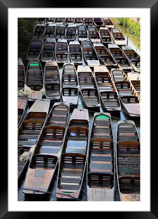 Oxford River Punts Framed Mounted Print by Tony Bates