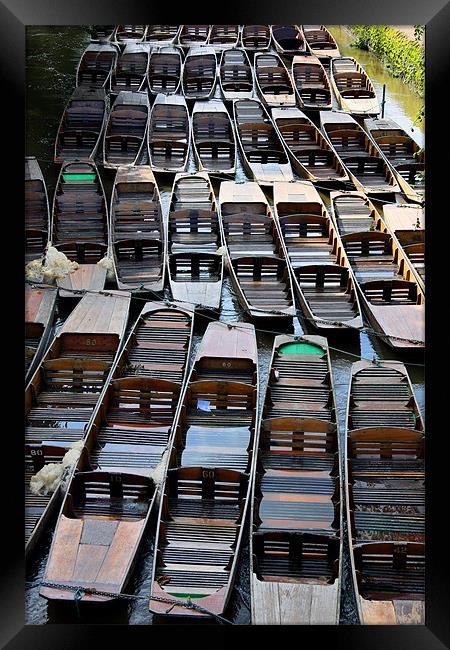 Oxford River Punts Framed Print by Tony Bates